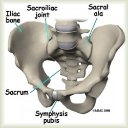 SI joint pain left side location