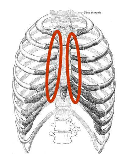 Kinesiología aplicada y pruebas manuales musculares