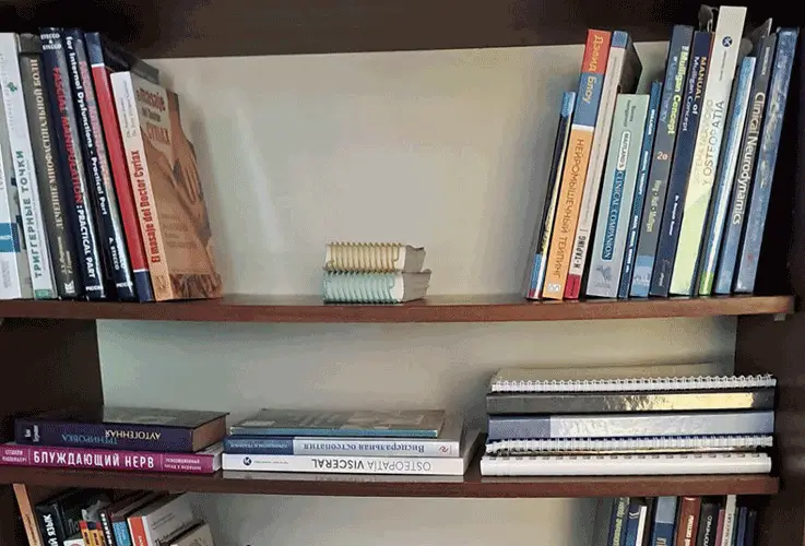 Osteopathic, chiropractic, manual therapy books